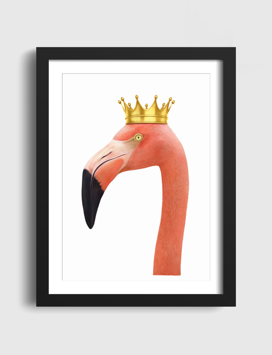 King flamingo
