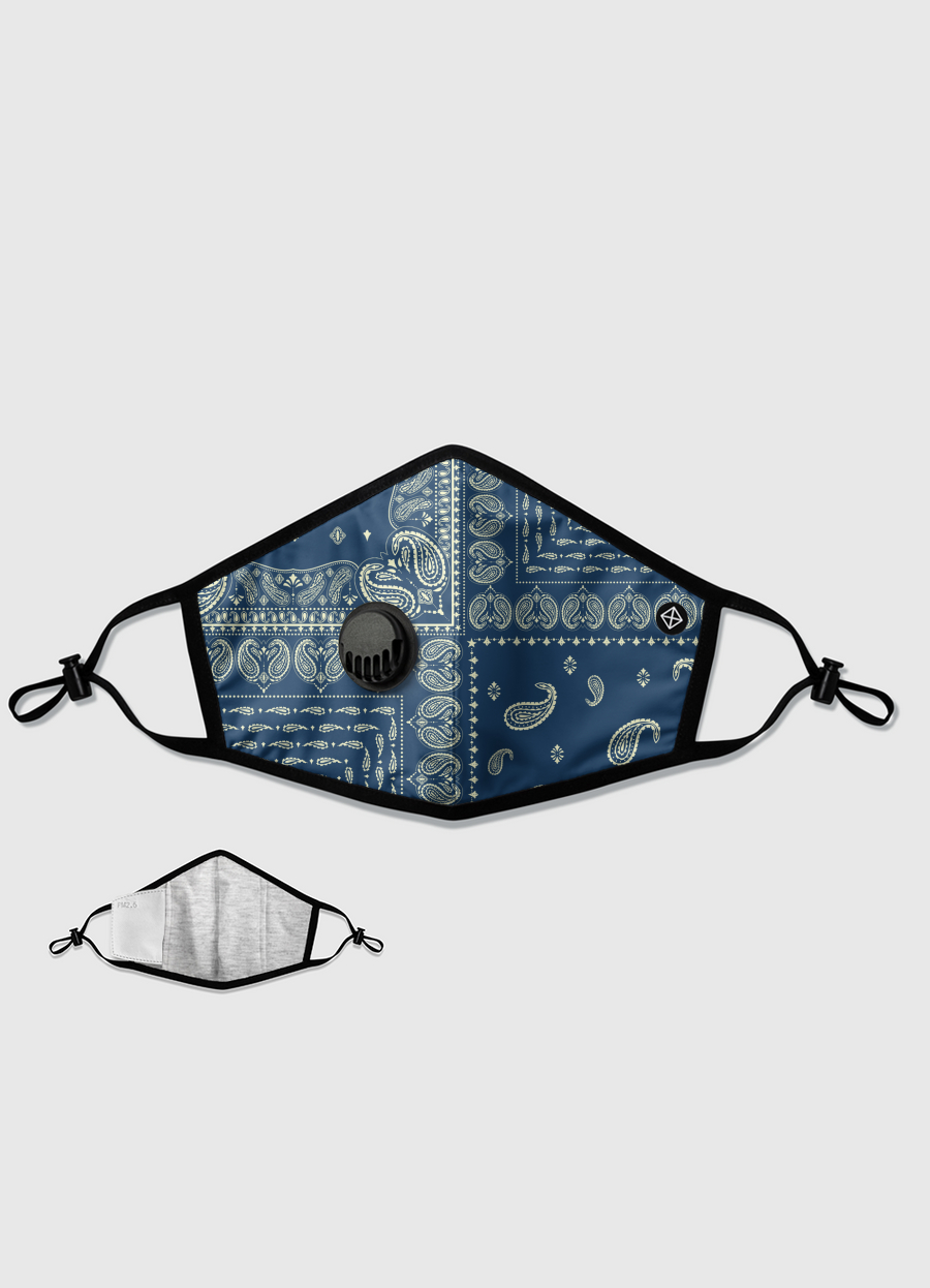 Paisley V2