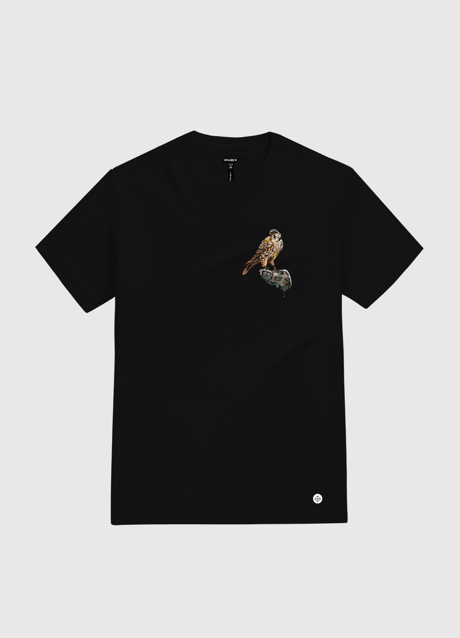 Arabian Falcon