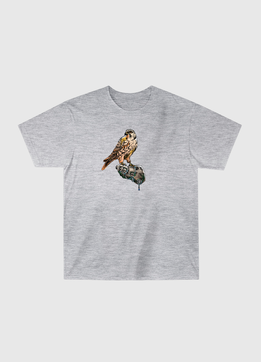 Arabian Falcon