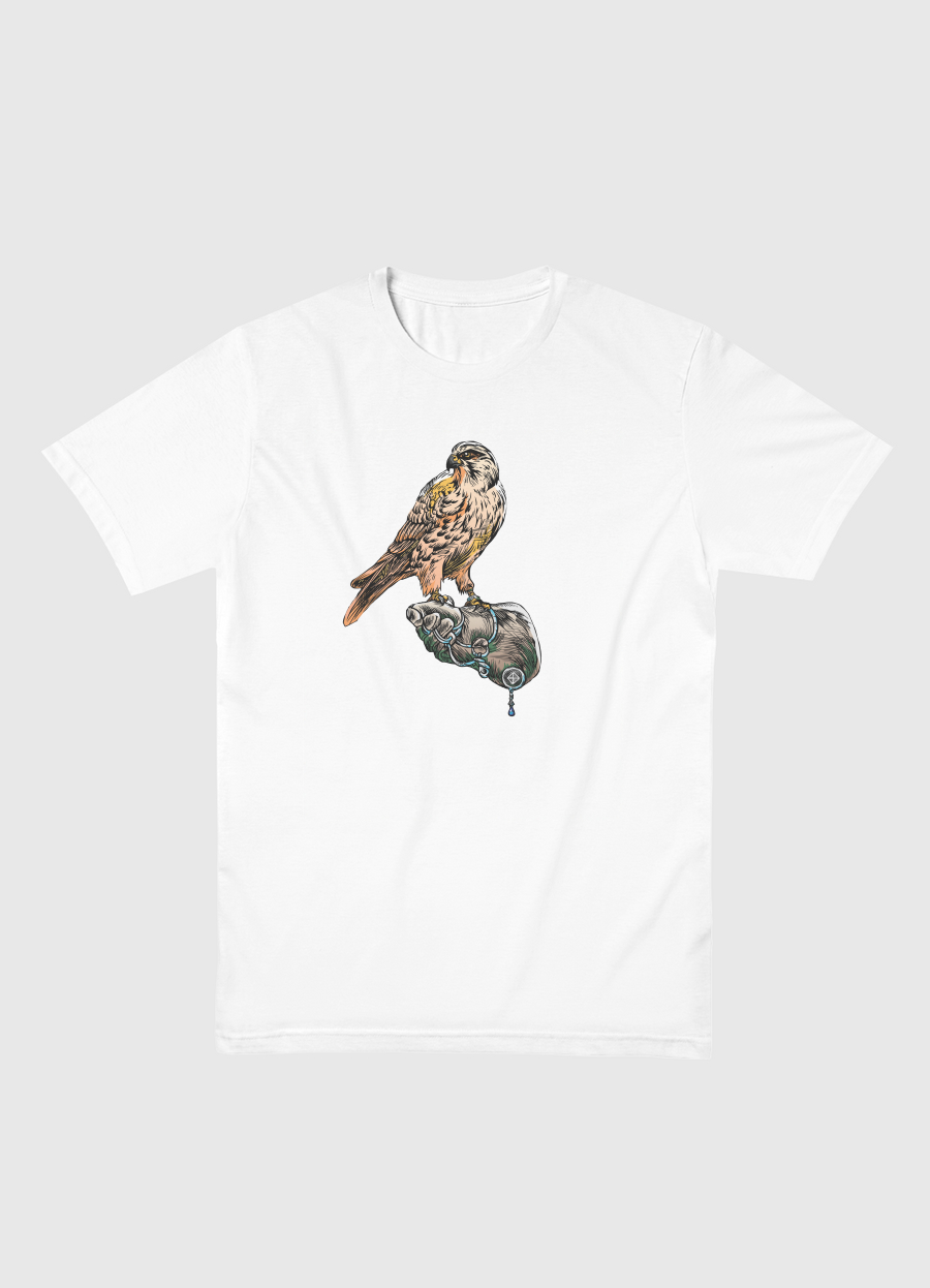Arabian Falcon