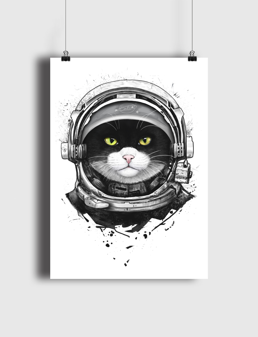 Cosmic cat