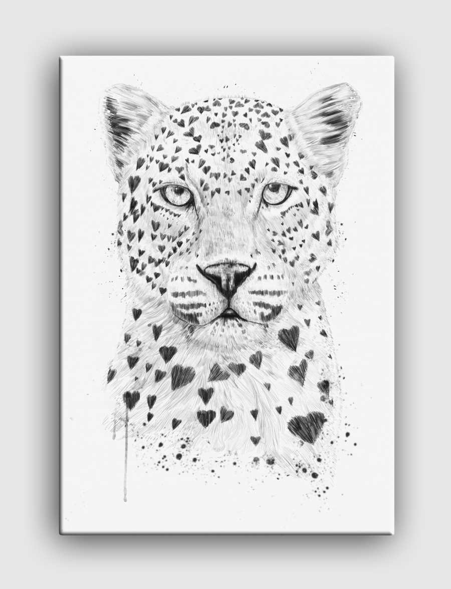 Lovely leopard