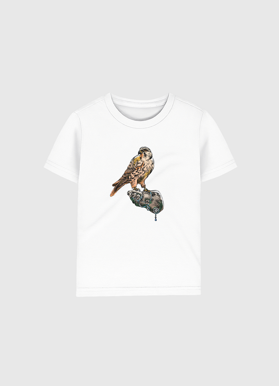 Arabian Falcon