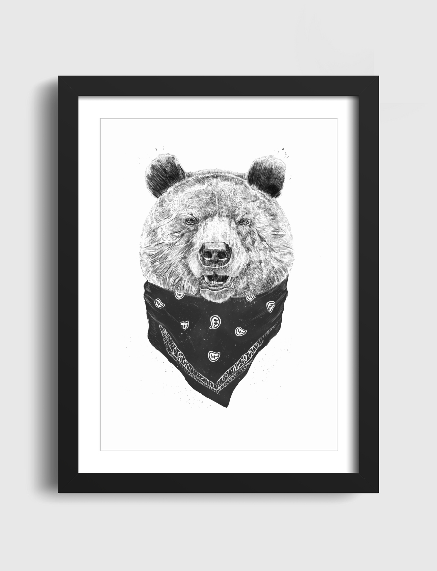 Wild bear