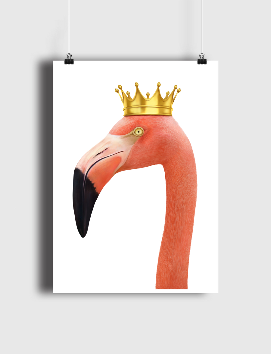 King flamingo
