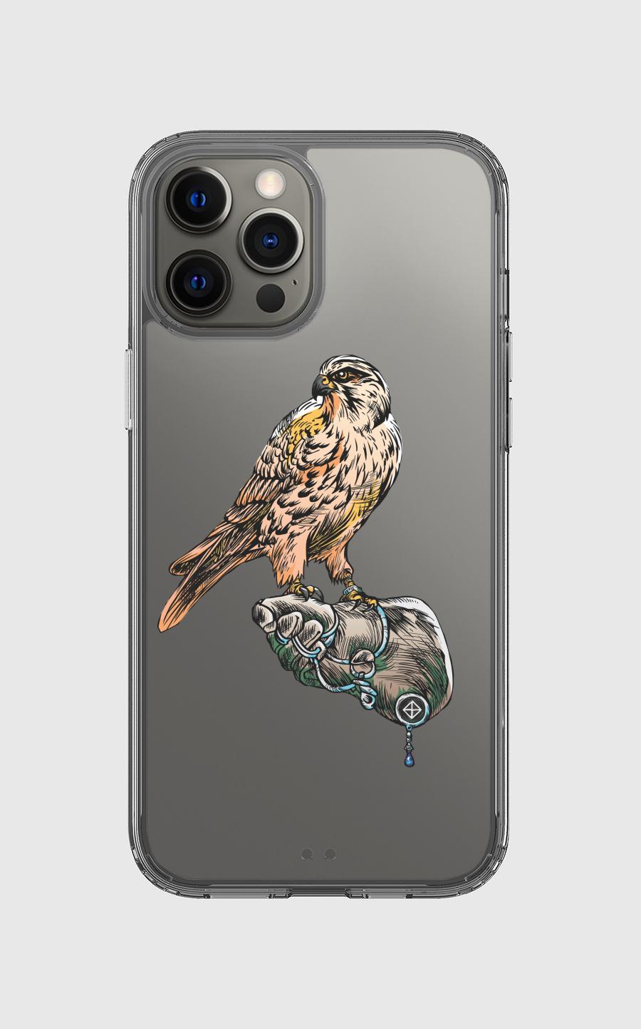 Arabian Falcon