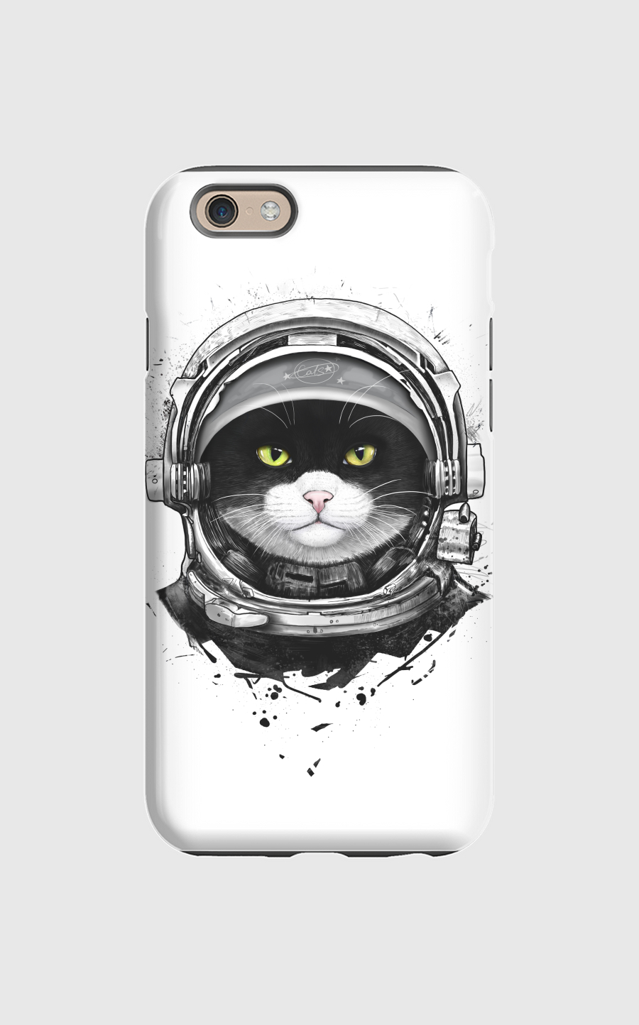Cosmic cat