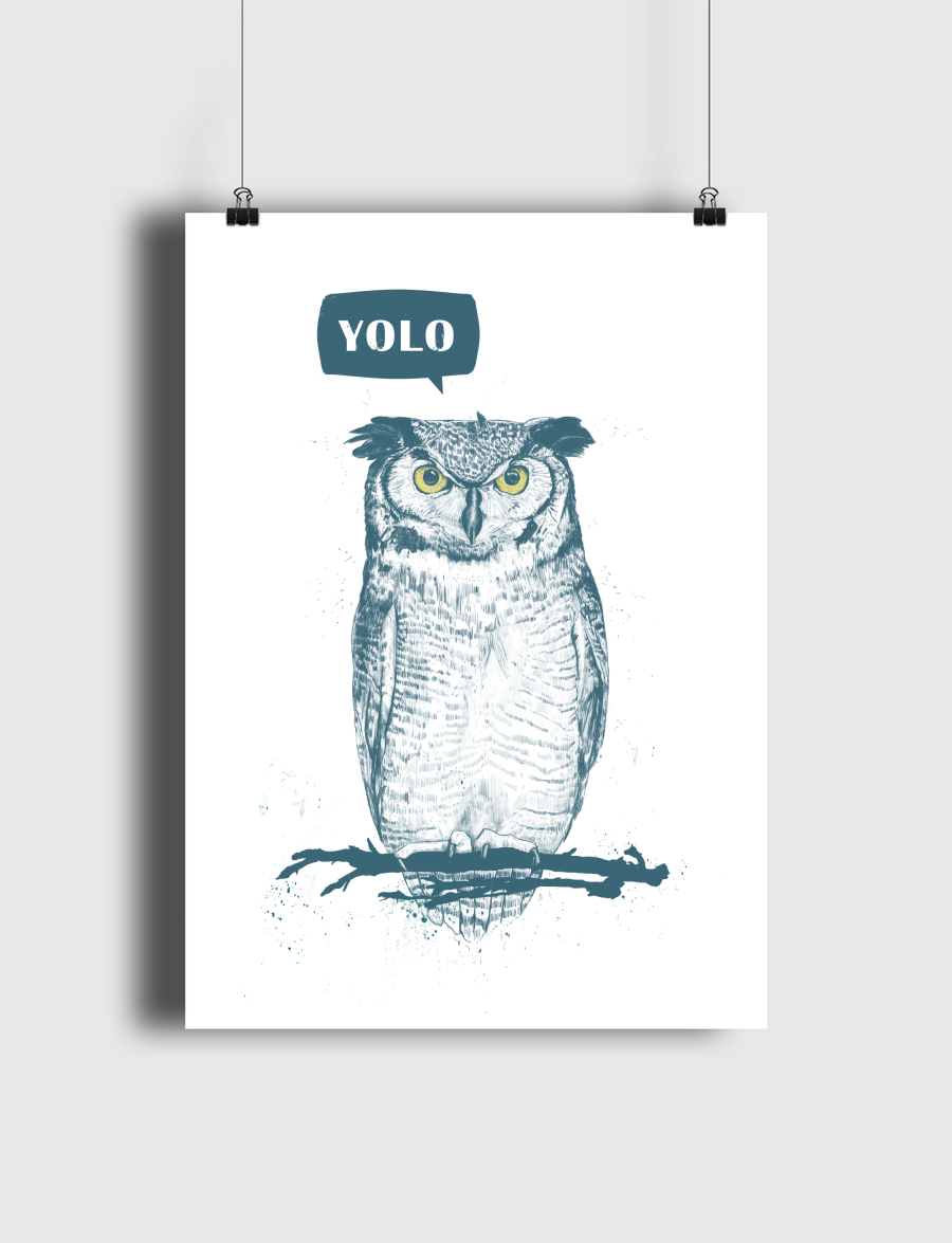 Yolo