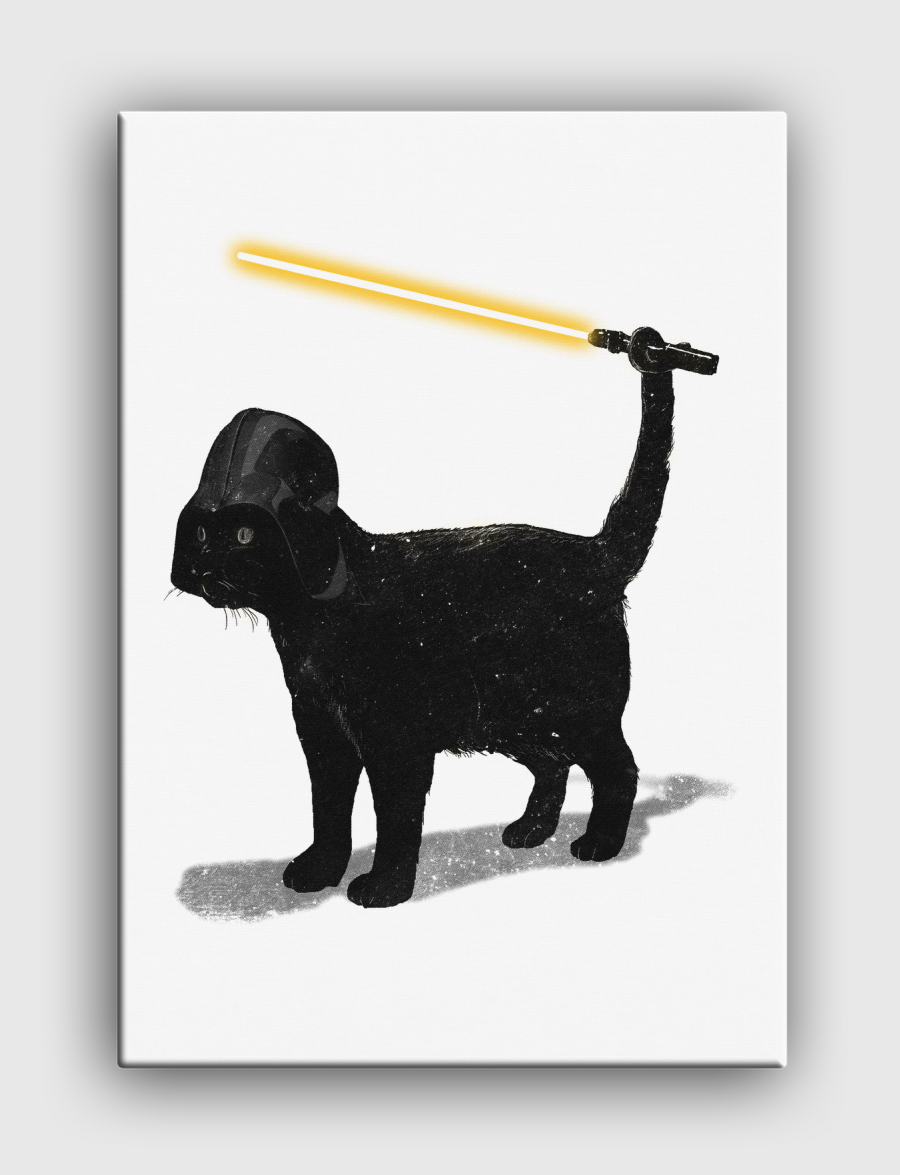 Cat Vader