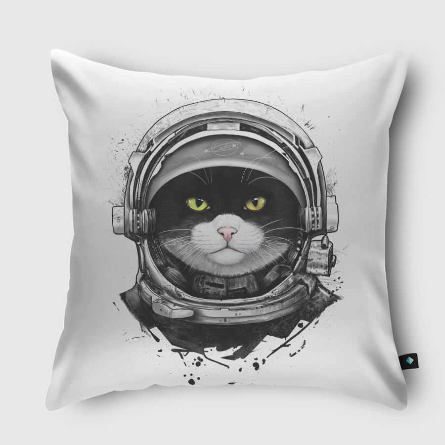 Cosmic cat