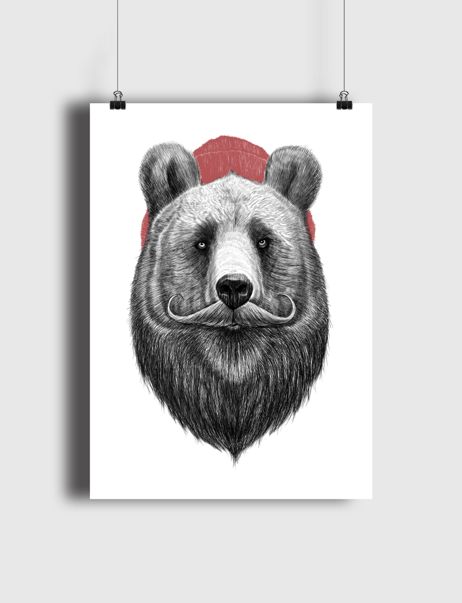 Bearded bear