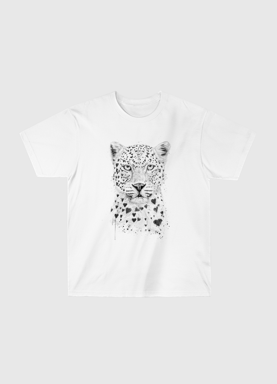 Lovely leopard