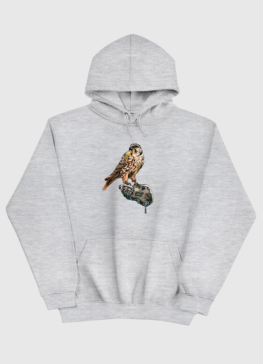 Arabian Falcon