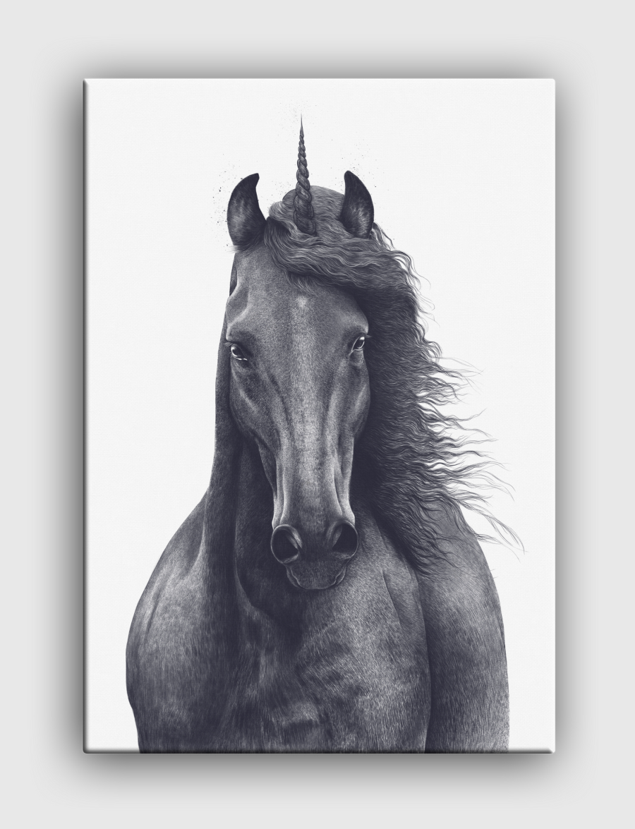 Black unicorn