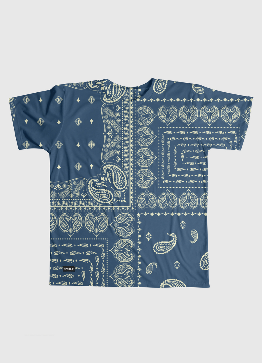 Paisley V2