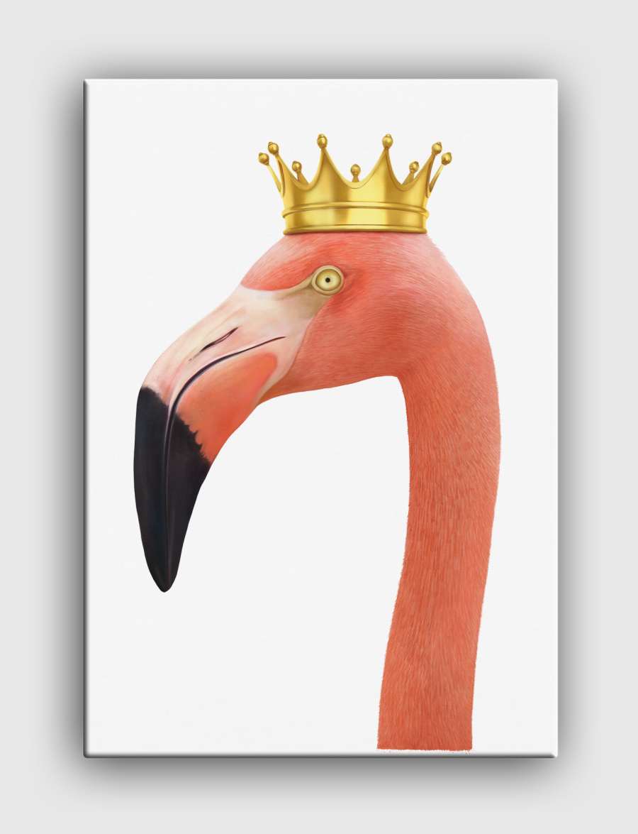 King flamingo